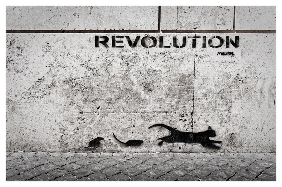 revolution-is-the-cat-ou-the-mouse 18735944836 o